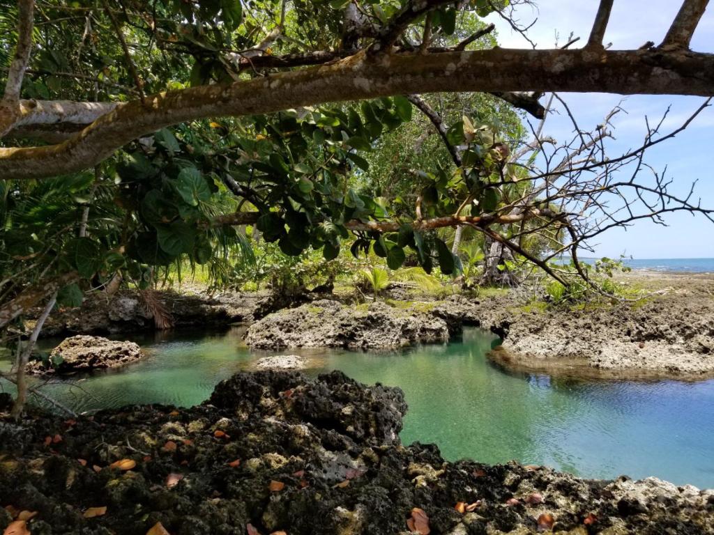 Playa Negra Cahuita